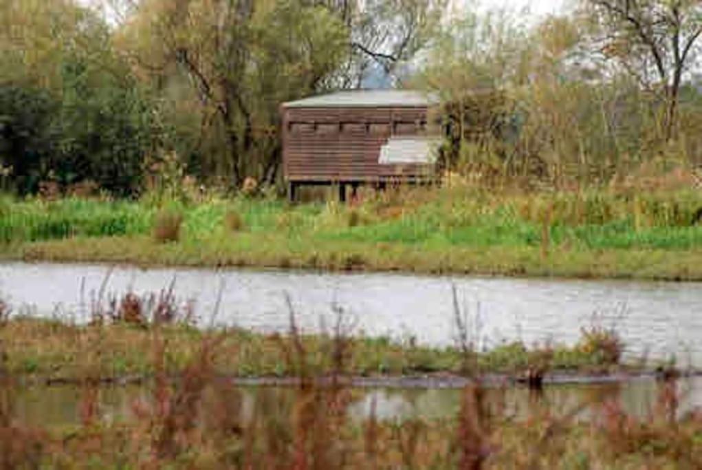 Leigh  The Loft At The Croft - Stunning Rural Retreat Perfect For Couples & Dogsヴィラ エクステリア 写真